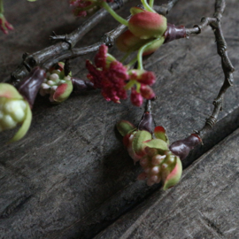 Esdoorn bloesem tak 'kunst' L (L 55 cm)