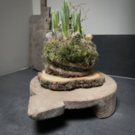 Oude Bajot plank (Nr 19)  (L 34 cm)