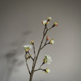 Esdoorn bloesem 'kunst' tak 'Wit' M (L 58 cm)