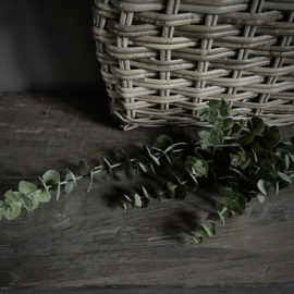 Eucalyptus tak 'kunst' (L 83 cm)
