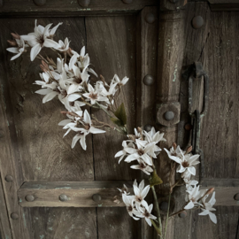 Zijden bloemen tak 'gebroken wit'  (95 cm)