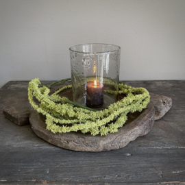 Amaranthus tak 'kunst' (L 155 cm)