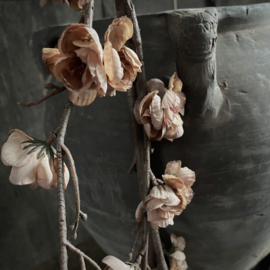 Zijden bloesemtak 'Cappuchino' (120 cm)