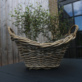 Rattan 'brood' mand  (Br 42 cm.)