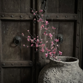 Lente tak 'Sakura' (86 cm)