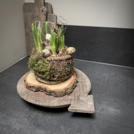 Oude Bajot plank (Nr 17)  (L 34,5 cm)