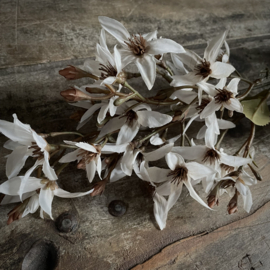 Zijden bloemen tak 'gebroken wit'  (95 cm)