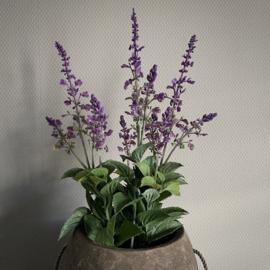 Lavendel in pot 'kunst' (H 45 cm)