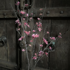 Lente tak 'Sakura' (86 cm)