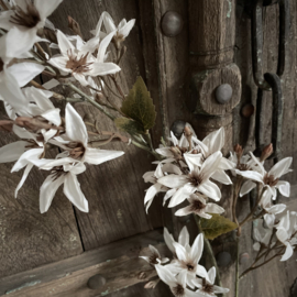 Zijden bloemen tak 'gebroken wit'  (95 cm)