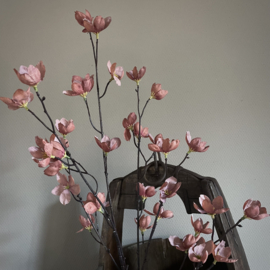 Magnolia stelata brown 'kunst' tak (L 113 cm)
