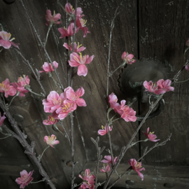 Lente tak 'Sakura' (86 cm)