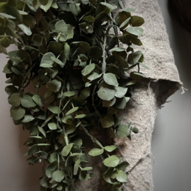 Eucalyptus 'kunst' toef (L 60 cm)
