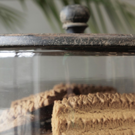 Koektrommel Be-Uniq 'transparant' (Dia 21 cm)