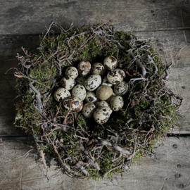 Bonsai mos nest (Ø30 cm)