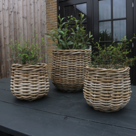 Rattan mand rond M (H 23 cm)