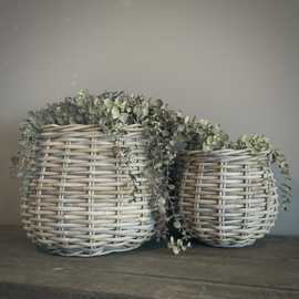 Eucalyptus 'kunst' toef (L 95 cm)