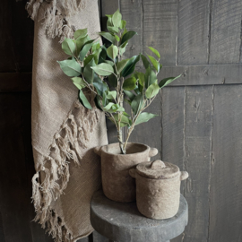 Ficus 'kunstplant' (52 cm)
