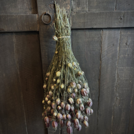 Vers ingedroogd bos Nigella  (45 cm)