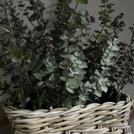 Eucalyptus tak 'kunst' (L 83 cm)