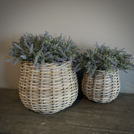Rattan mand rond M (H 23 cm)