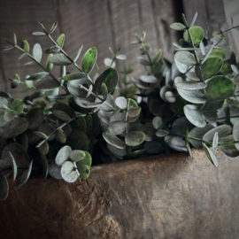 Toef kunst eucalyptus  (L 33 cm)