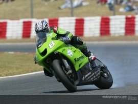 1;24<>KAWASAKI ZX-RR   MotoGP 2003    Garry McCoy #8