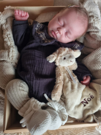 LAMB LIVIO | TUTTLE