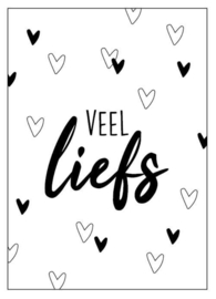 Kaart Veel liefs!