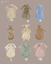 RABBIT RICHIE | GREEN | TUTTLE