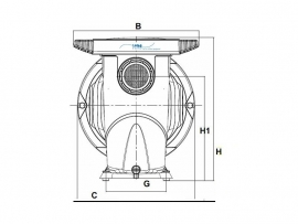 DAB pomp Euroswim 100 M capaciteit 18 m³/uur 230 volt 1HP