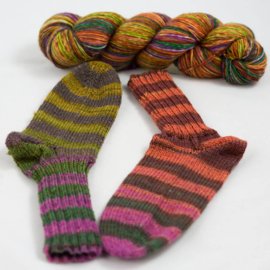 Lazy Lion Sock Yarn - 008 - Brittas Favourite