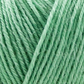 Onion Nettle Sock Yarn - 1021 Lichtgroen