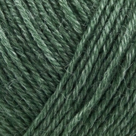 Onion Nettle Sock Yarn - 1006 Groen
