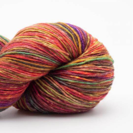 Lazy Lion Sock Yarn - 008 - Brittas Favourite