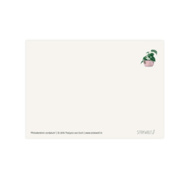 Postkaart - Philodendron Cordatum
