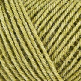 Onion Nettle Sock Yarn 1030 - Olijfgroen