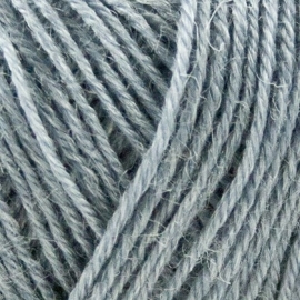 Onion Nettle Sock Yarn - 1017 Grijs