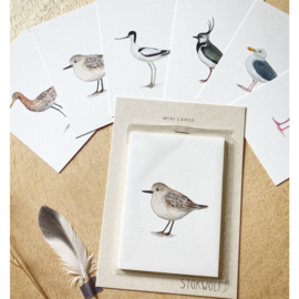 Set Mini kaartjes -  Wadvogels