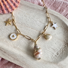 SHELL KETTING