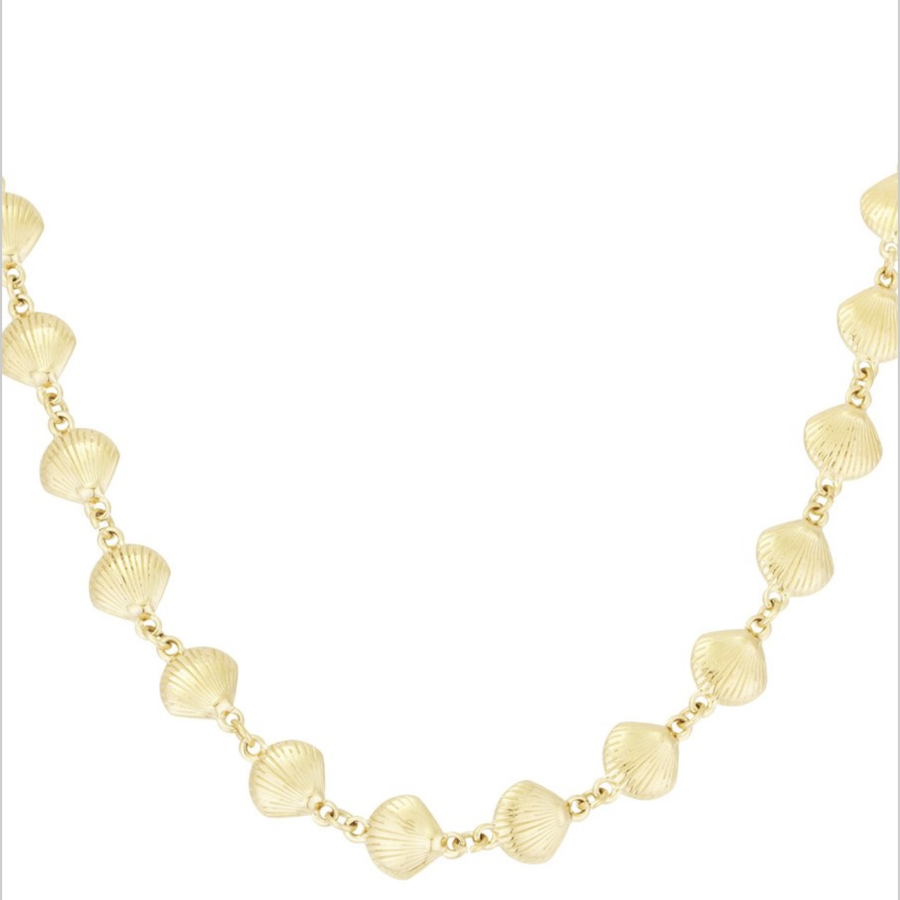 SHELLS KETTING