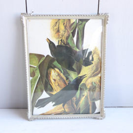 Vintage fotolijst zilver kleur bol glas groot