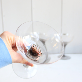 Vintage glazen coupe glazen met rookglas gedraaid voetje