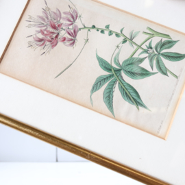 Vintage bloemenprint goud lijst