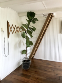 Blog: 5 vintage-inspired tips voor klein wonen
