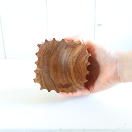 Onderzetters brutalist robuust hout