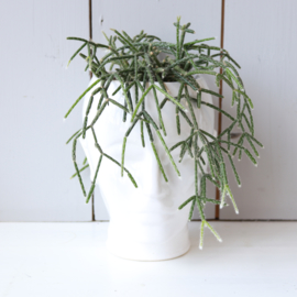 Vintage bloempot hoofd groot