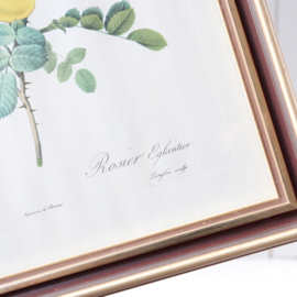 Vintage rozen print grote lijst