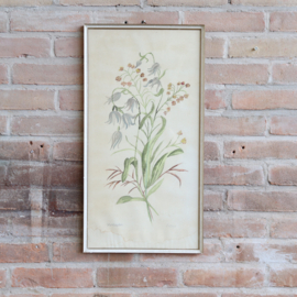 Vintage tekening bloemen