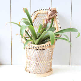 Vintage rotan planten mand